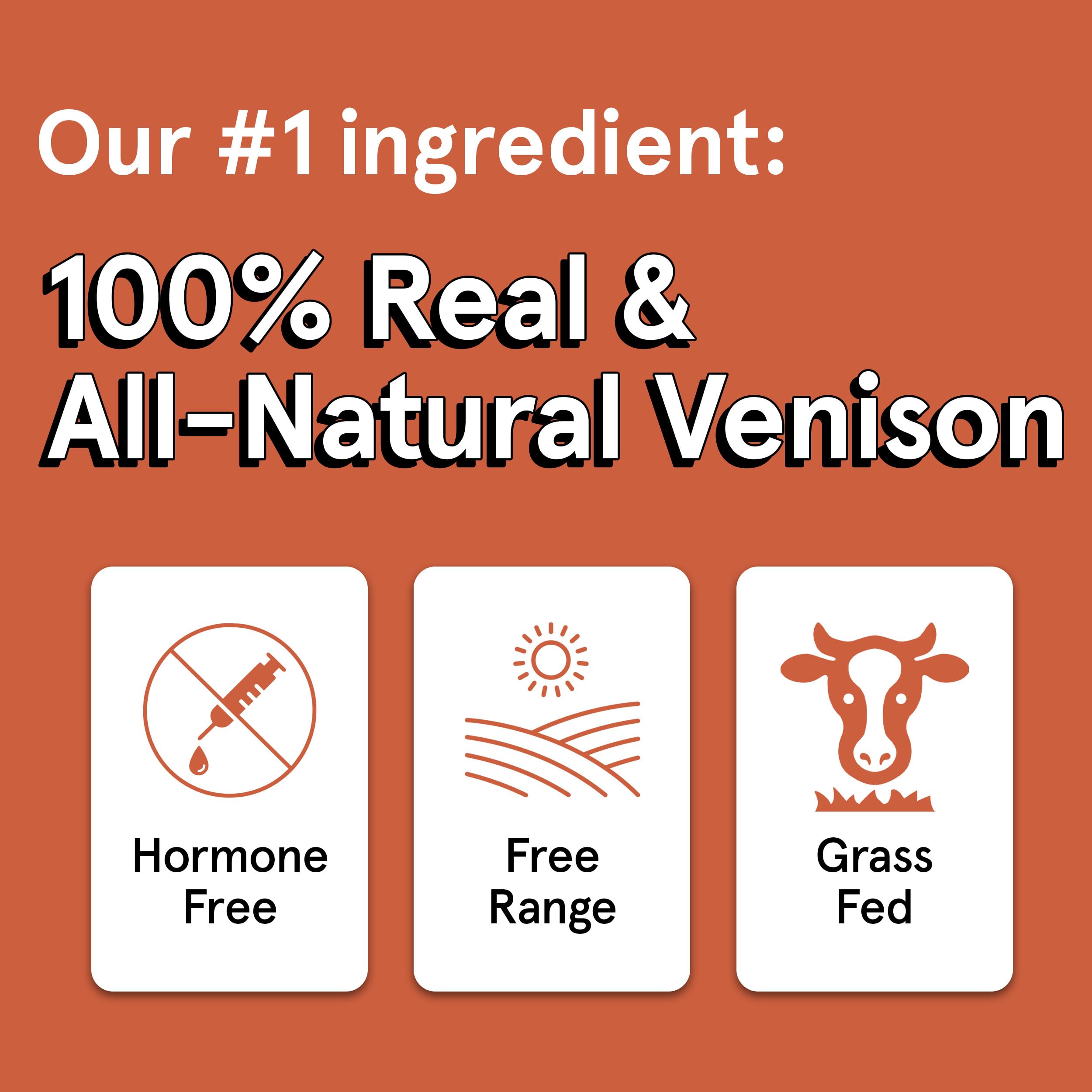 Premium Grain-Free Air-Dried Venison Dog Treats - 3 Pack of 12oz Bags with All-Natural, Human-Grade Free-Range Grass-Fed Venison (95% Meat) - Healthy Bite-Sized Training Rewards & Daily Snacks for Small, Medium & Large Dogs - Perfect for Outdoor Adventures, Obedience Training & Crate Time