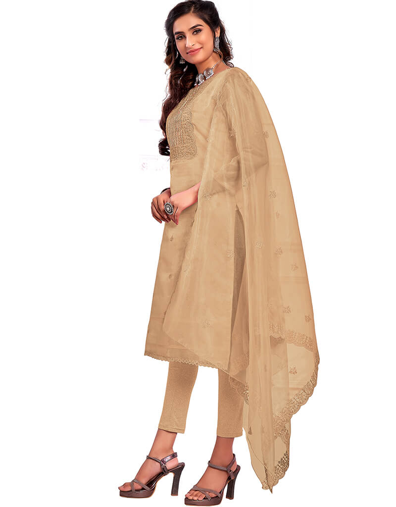 Elegant Beige Organza Chudidar Salwar Suit for Women - Traditional Indian Ethnic Wear for Weddings, Festivals & Special Occasions
