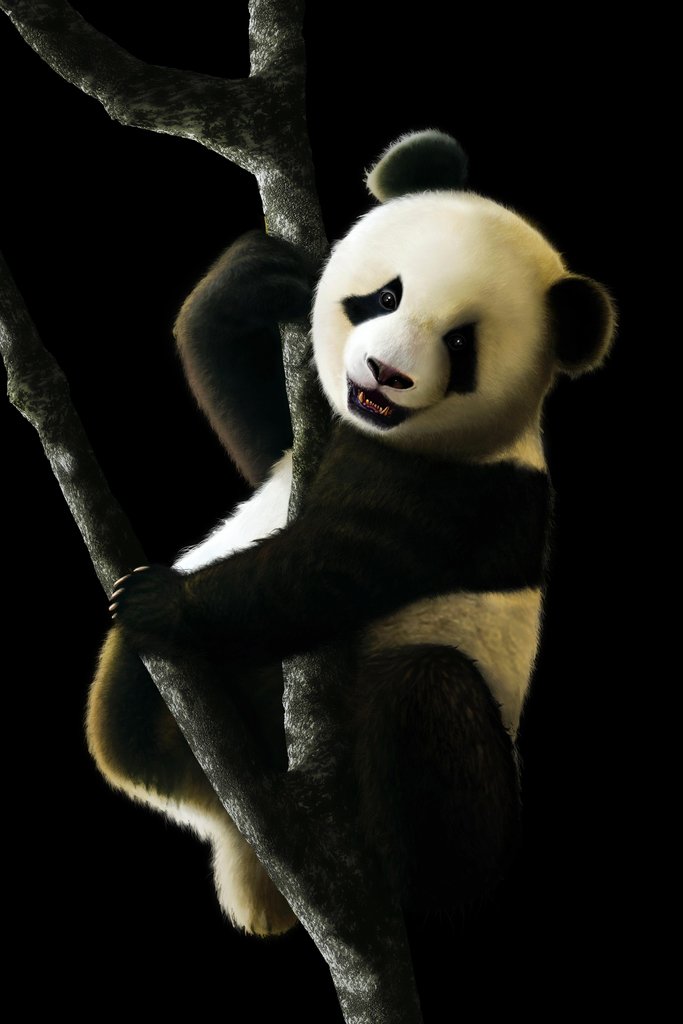 12x18 Giant Panda Wall Art Poster - Cute Asian Bear Nursery Decor for Kids Room, Baby Bedroom & Playroom - Wildlife Animal Print for Wall Decor