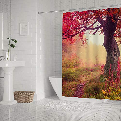 Autumn Landscape