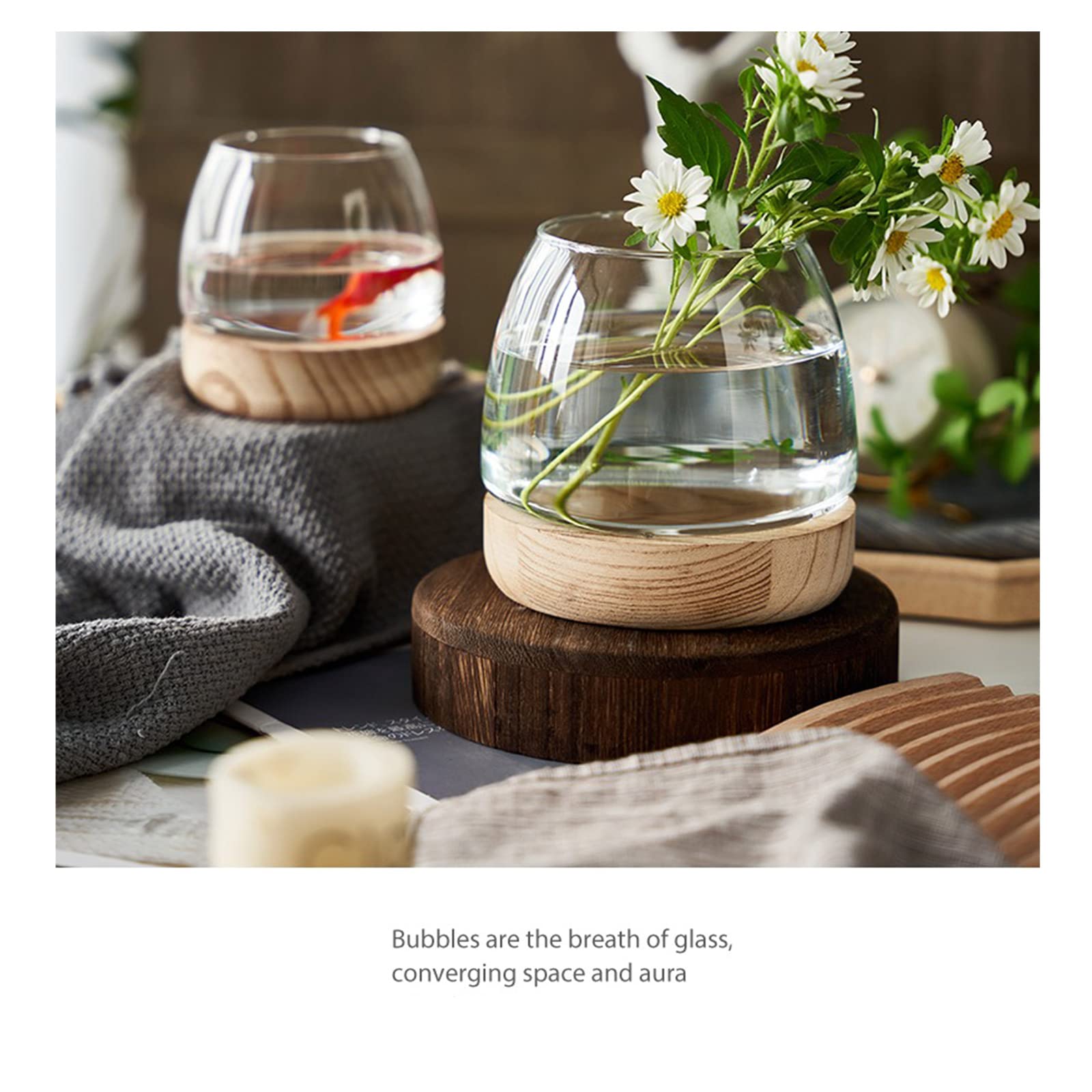 TSYFM Mini Glass Fish Tank Bowl - Small Desktop Round Aquarium for Betta Fish, Hydroponic Plants, Terrarium & Home Decor | Perfect for Office, Living Room, Bedroom Decor