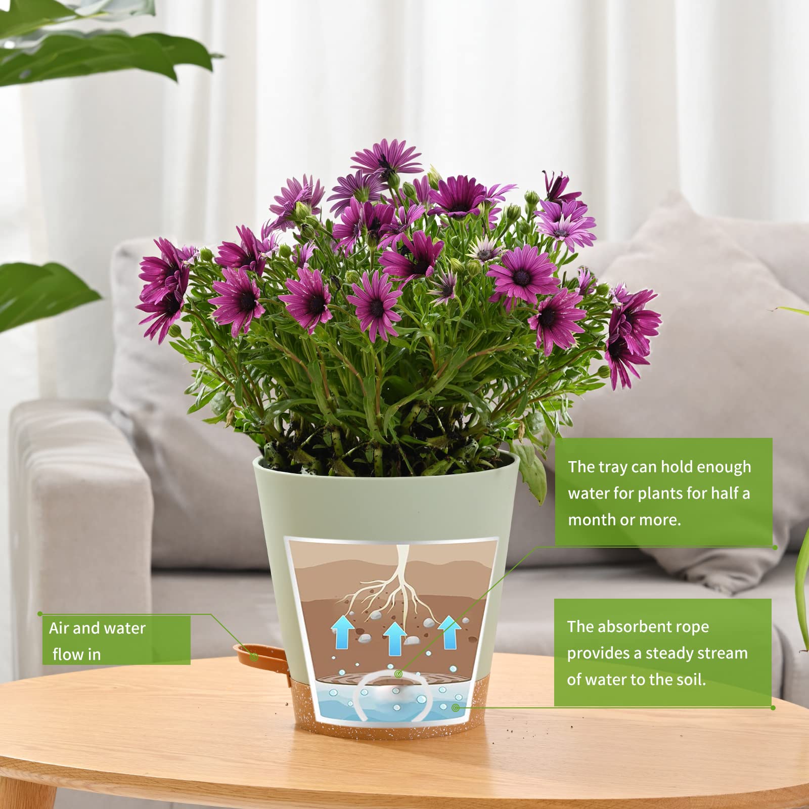 6-Pack 5 Inch Self-Watering Plant Pots with Drainage Holes - Indoor/Outdoor Flower Planters with Reservoir Tray & Watering Lip - Perfect for Home, Office, Balcony Gardening - Green Gardening Pots for Herbs, Succulents & Small Plants