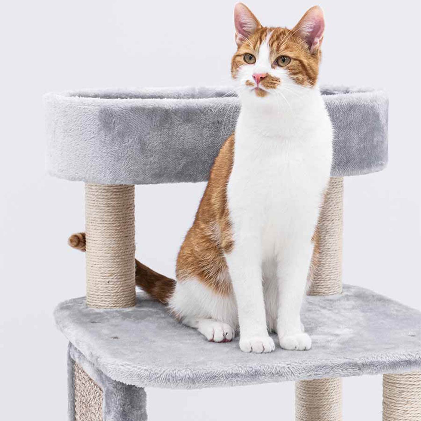 Little Rebels Little Rock 99cm Cat Tree - Multi-Level Cat Climbing Tower with Scratching Posts & Perches - Perfect for Indoor Play, Exercise & Relaxation for Cats & Kittens