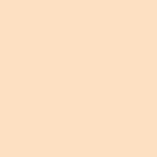 #2 Beige(Plain)