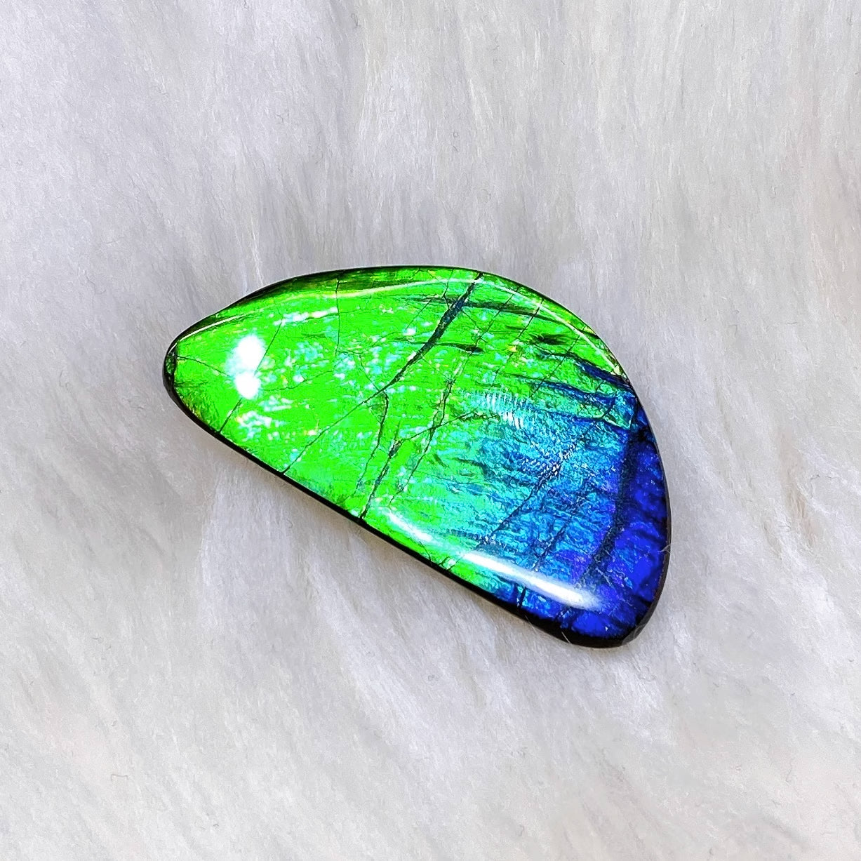 Natural Freeform Ammolite Gemstone FNA22071 - Unique Jewelry Making, Healing Crystal & Collectible for Spiritual Decor