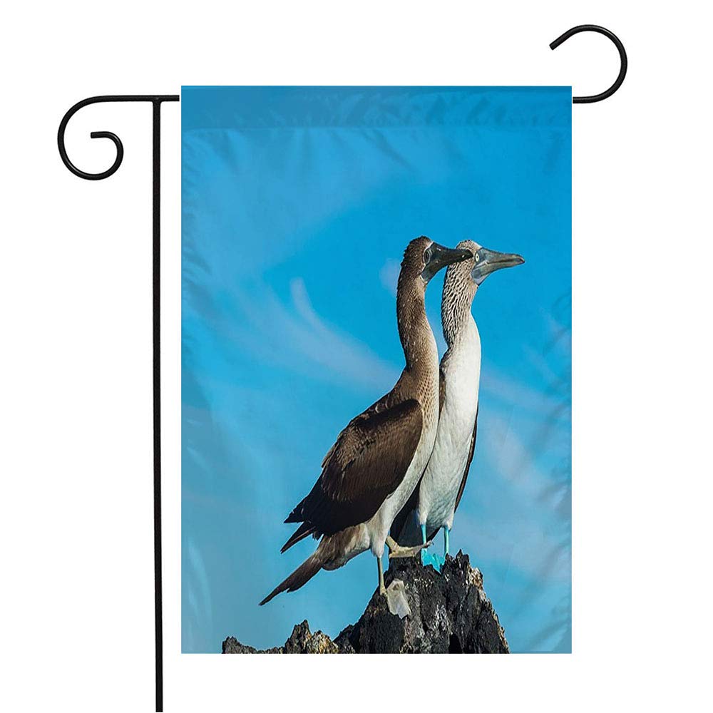 Blue Footed Booby Garden Flag 12x18 Inch - Coastal Bird Nature Design for Patio, Lawn & Outdoor Decor - Perfect Gift for Bird Lovers & Home Garden Decoration