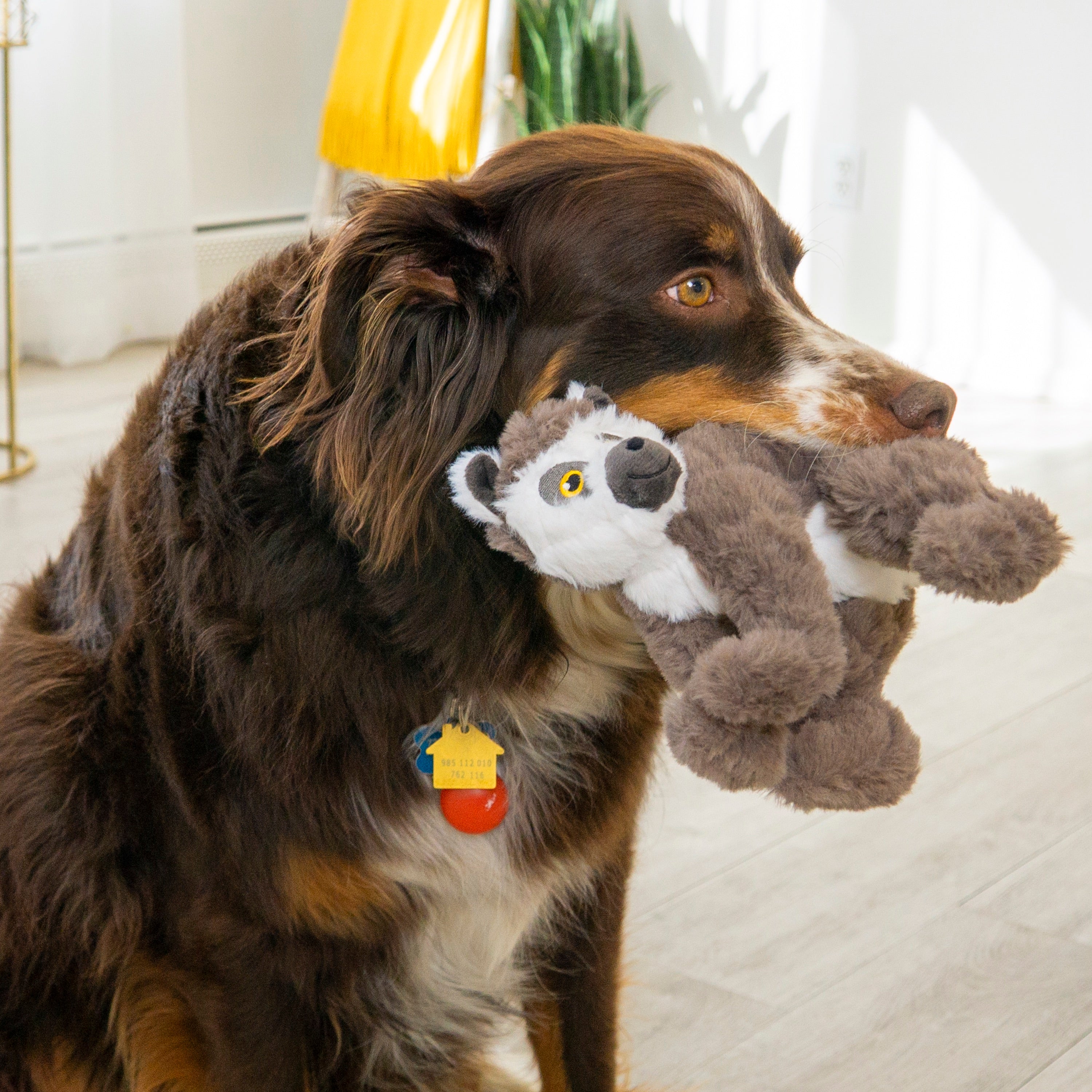 Kong Scampers Lemur Plush Toy - Soft Stuffed Animal for Dogs, Chew-Resistant & Interactive Play - Perfect for Fetch, Cuddling & Training Sessions