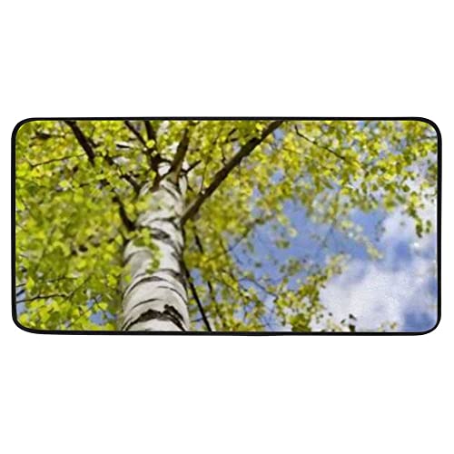 Blooming Birch Tree Bright Green