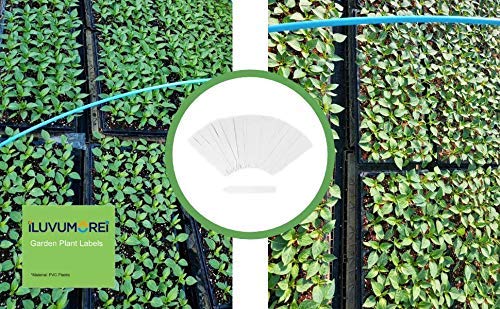 200 Pcs 5 Inch White Plastic Plant Nursery Labels - Garden Markers, Pot Stakes for Seedlings, Herbs & Vegetables - Perfect for Home Gardening, Greenhouse & Outdoor Planting