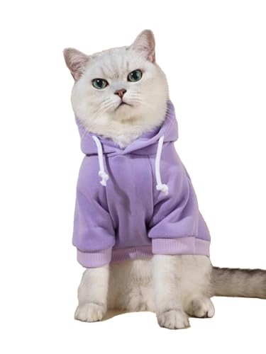Mauve Purple