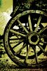 Illustrated Wagonwheel