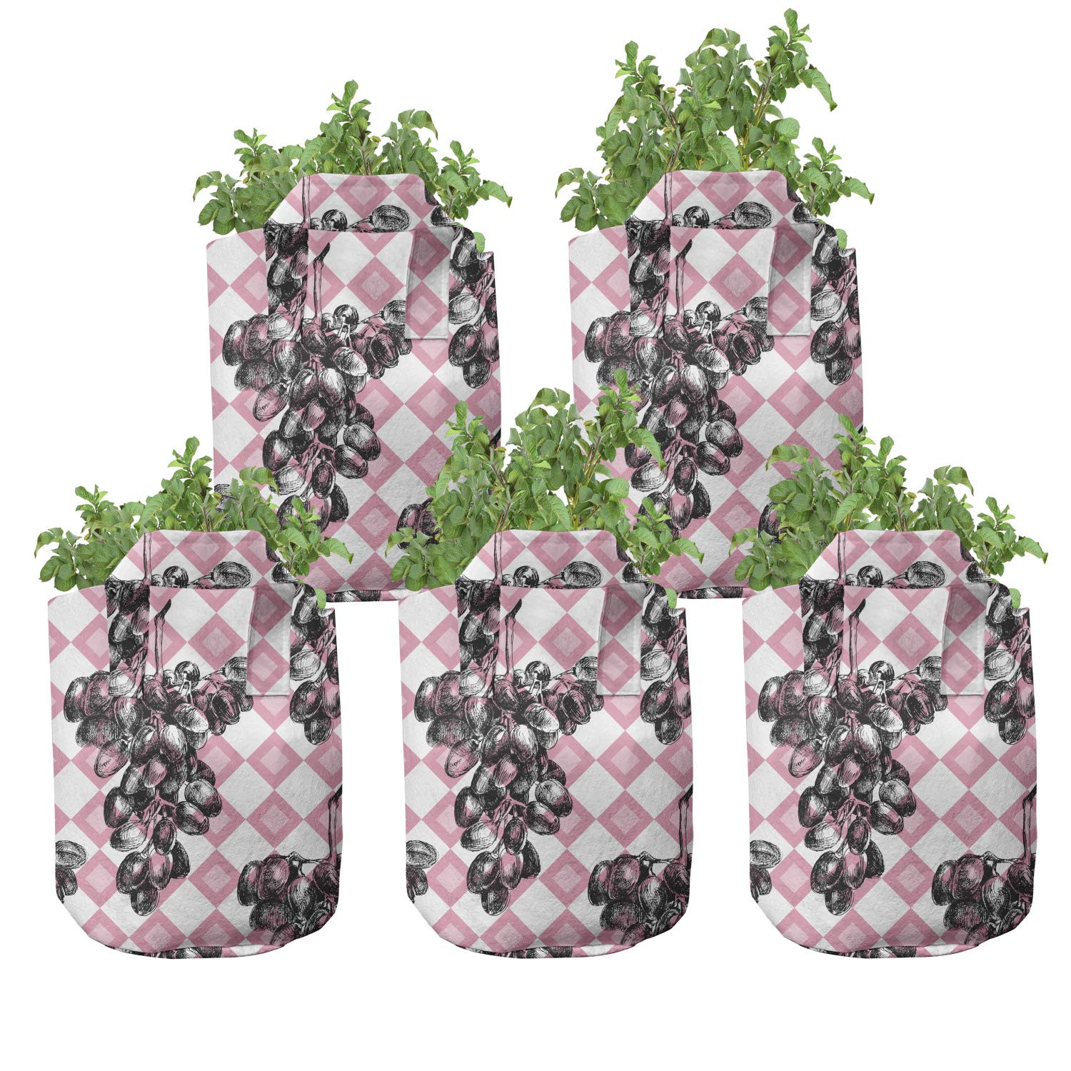 Ambesonne 5-Pack Heavy Duty Fabric Grow Bags with Handles - Sketchy Grape Fruit Design on Pink Grey Squares - Durable Plant Pots for Indoor/Outdoor Gardening, Balcony & Patio Decor