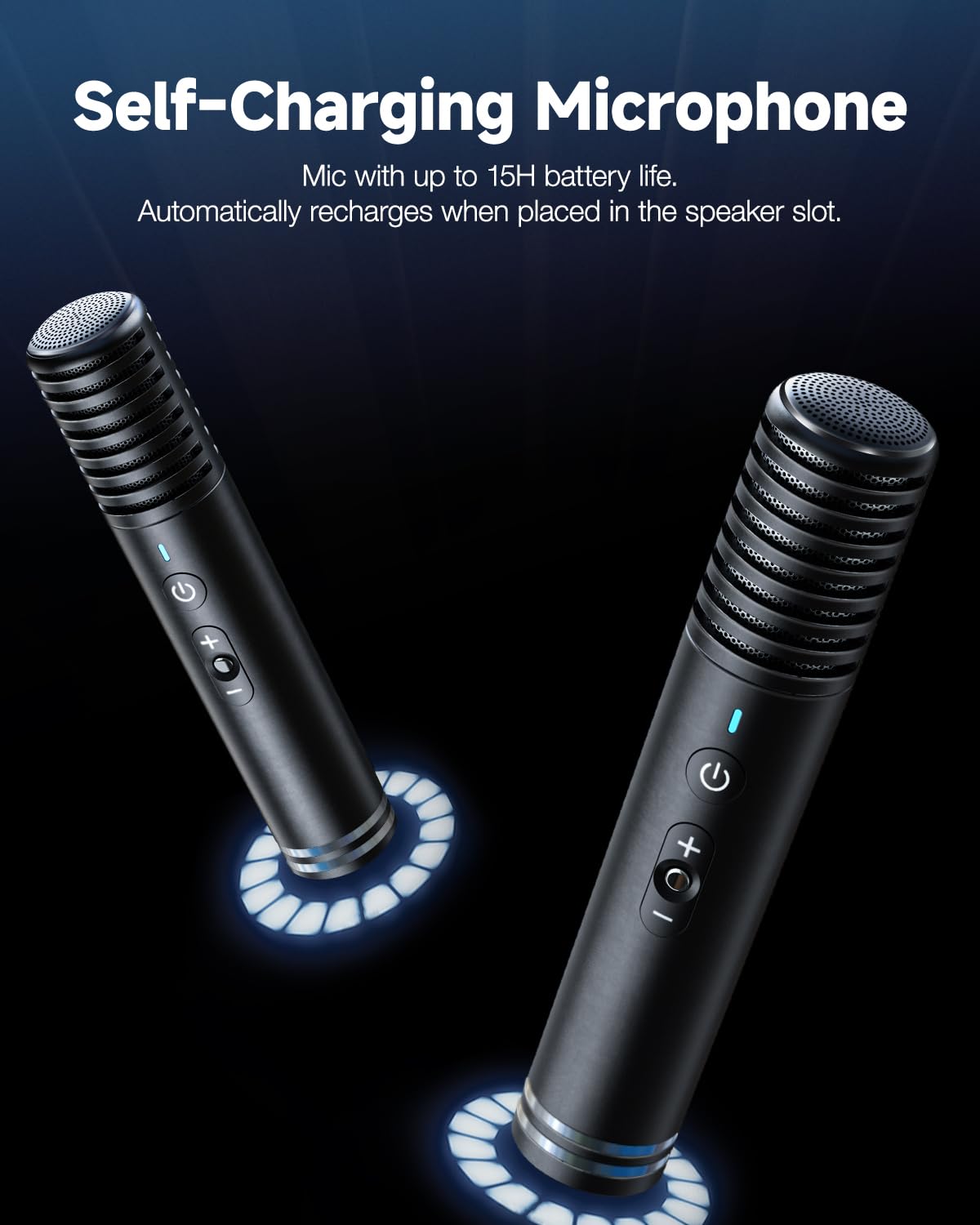 Portable Bluetooth Speaker with Microphone - 10.1