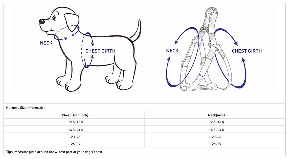Blueberry Pet Essentials Reflective Step-in Dog Harness - Adjustable Large Size (26