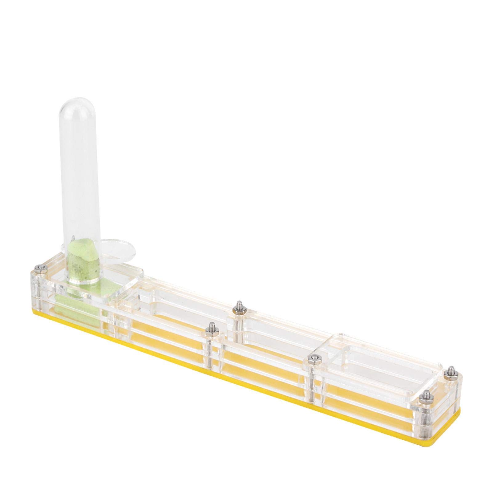 Easy to Install Formicarium Ant Farm with Water Tower - Educational Breeding Box for Kids, Decorative Display Ornament (Yellow Nest) - Perfect for Classroom Science Projects & Home Learning Activities