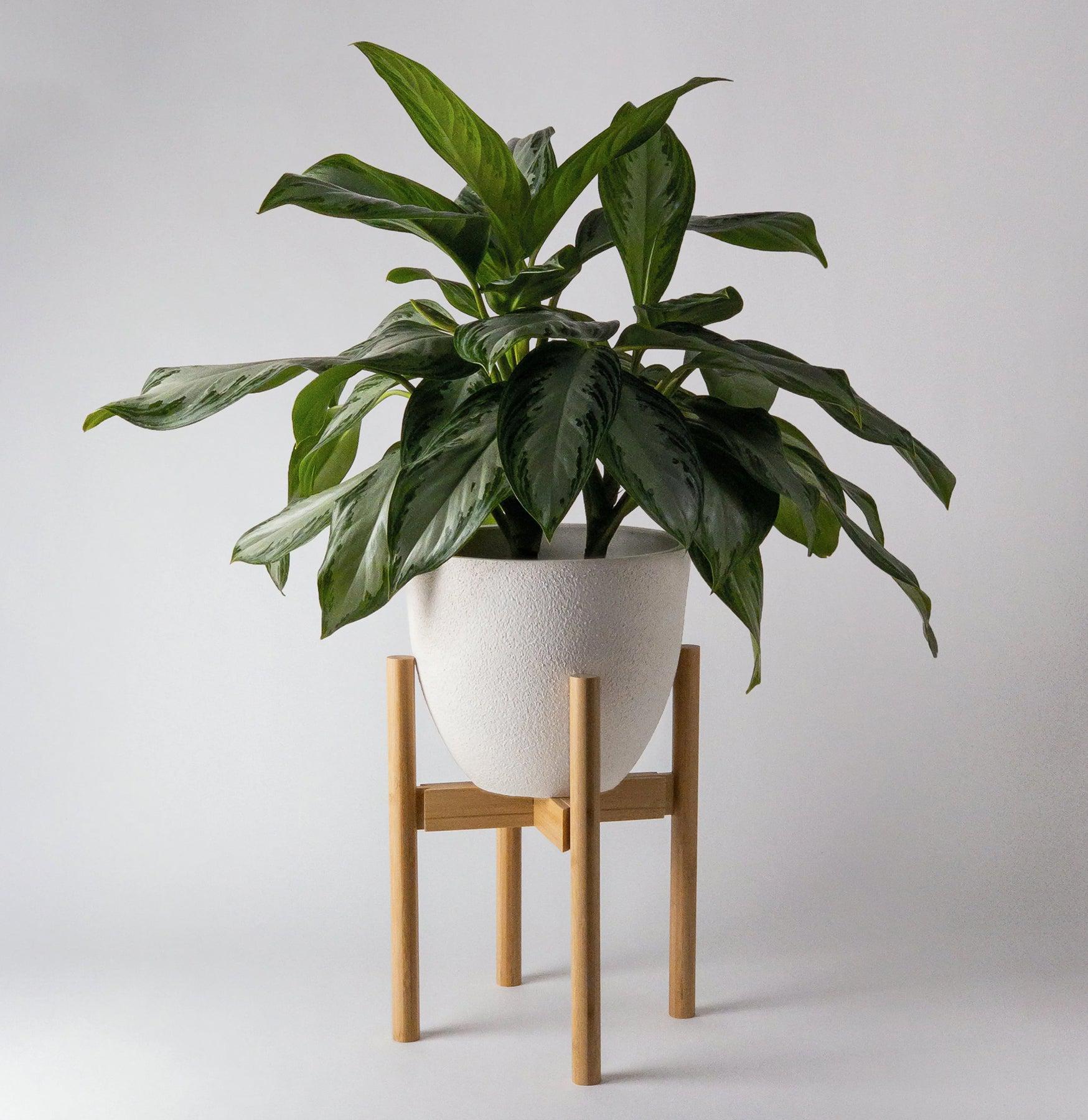 Adjustable Bamboo Plant Stand - Indoor/Outdoor Multi-Tier Shelf for Succulents, Flowers & Herbs - Perfect for Home, Garden, and Patio Decor