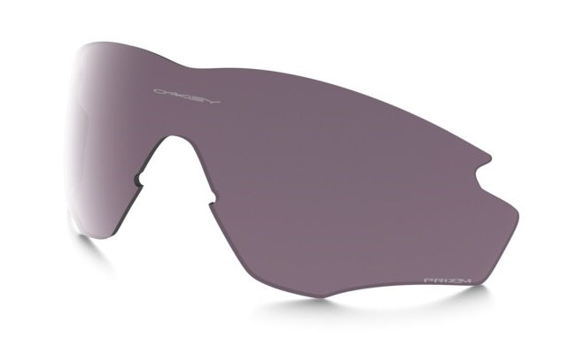 Prizm Daily Polarised