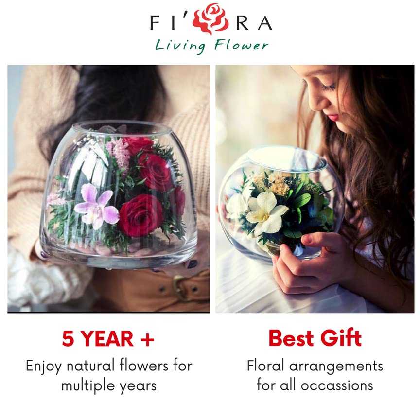 Fiora Flower | Real Preserved Roses & Orchids | Long-Lasting 5 Years | No Water Needed Home Decor | Allergy-Free & Odor-Resistant | Unique Gift for Anniversary, Wedding, Valentine's Day | Perfect for Centerpieces, Table Decor, and Romantic Gifts