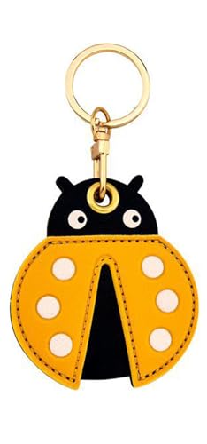 Seven-star Ladybug