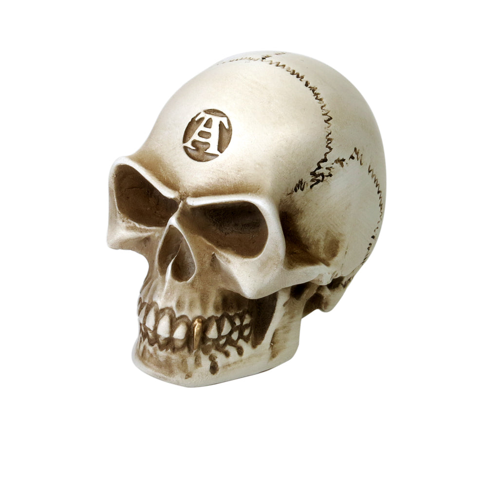 Gothic Bone Colored Skull Statue - Halloween & Home Decor for Spooky Aesthetic, Gothic Altar, Horror Theme Party, and Dark Academia Vibes