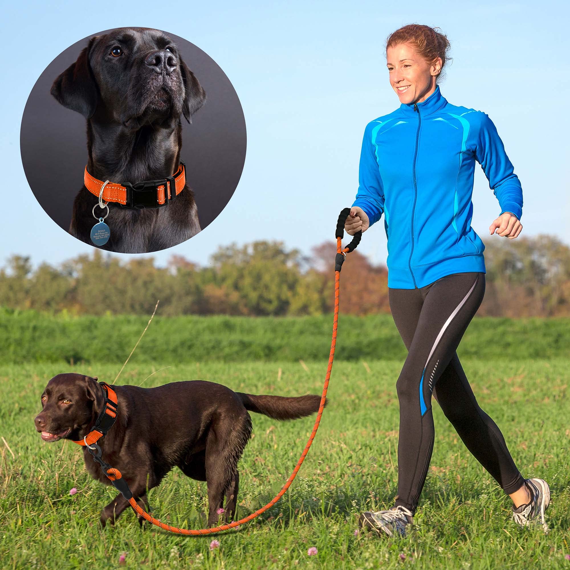 Reflective Padded Dog Collar with Soft Neoprene - Breathable Adjustable Nylon Collar for Small Medium Large Dogs (Orange Collar+Leash) - Perfect for Night Walks, Jogging & Outdoor Adventures