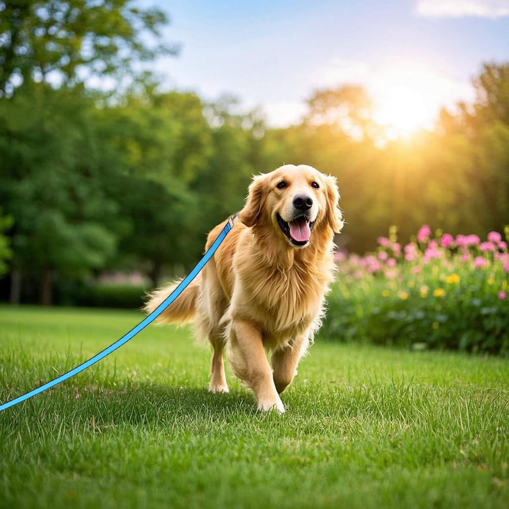 **15ft 30ft 50ft Heavy Duty Dog Training Leash - Long Tie Out Lead for Obedience Recall & Agility - Durable Backyard, Camping & Play Leash (50ft, Yellow) - Perfect for Outdoor Adventures & Dog Training**