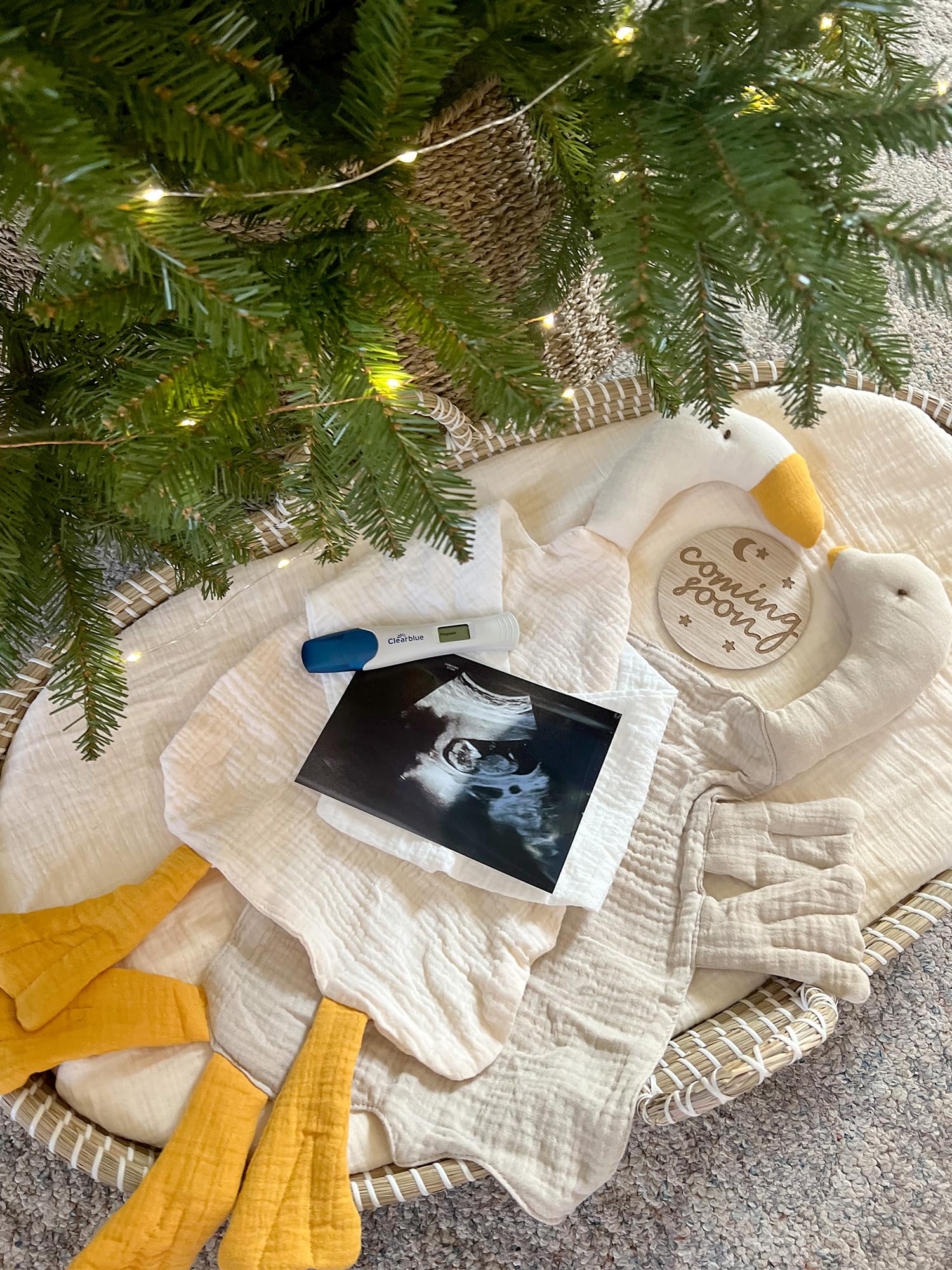 Soft Goose Lovey Blanket - Sensory Stuffed Animal Security Blanket for Newborns 0-6 Months | Baby Essentials for Boys & Girls | Roman Green | Perfect for Nursery, Stroller & Travel Comfort