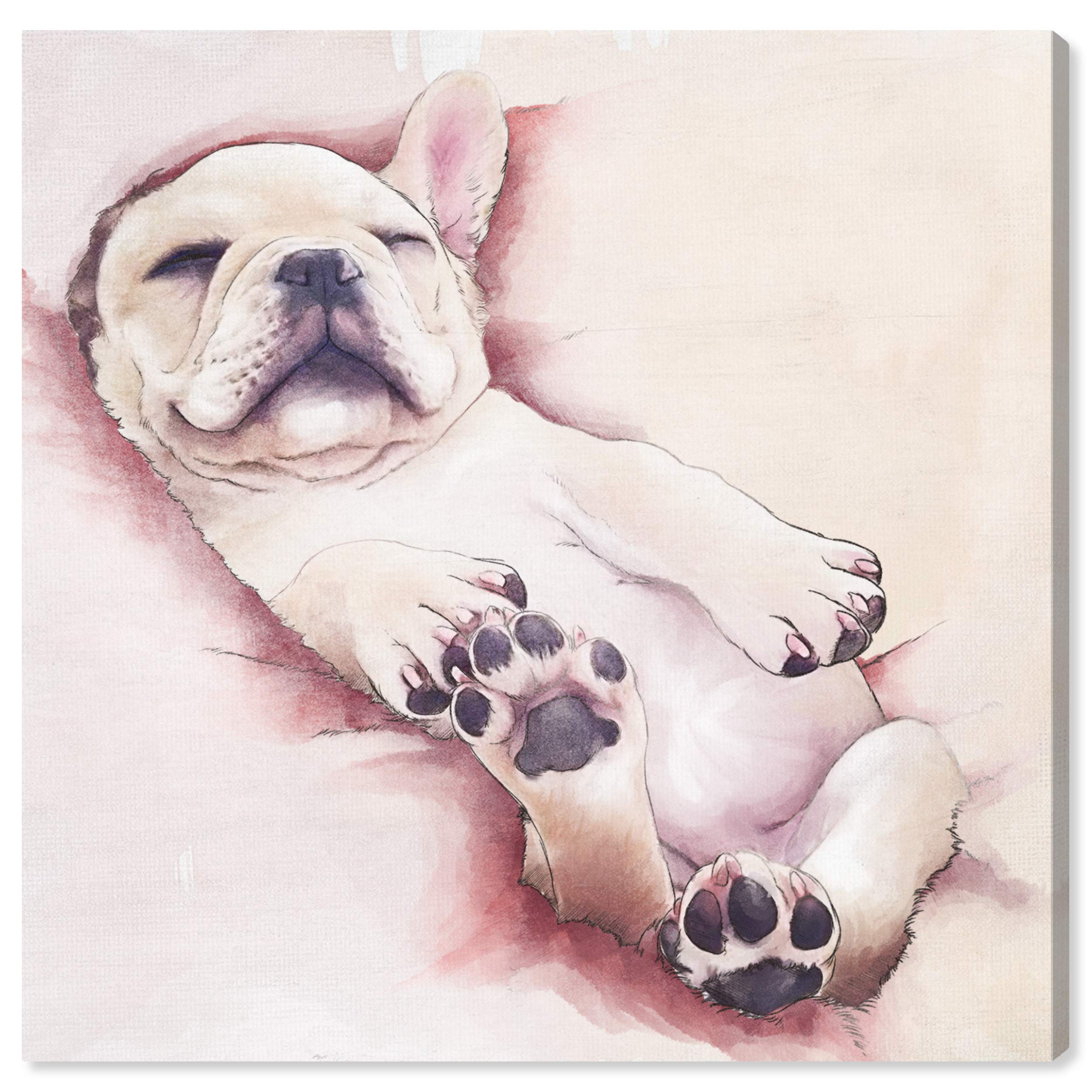 Sleeping Frenchie Dog Wall Art Canvas Print - 12x12 Inch Modern Animal Home Decor in White & Pink | Perfect for Living Room, Bedroom, Nursery & Office Decorations