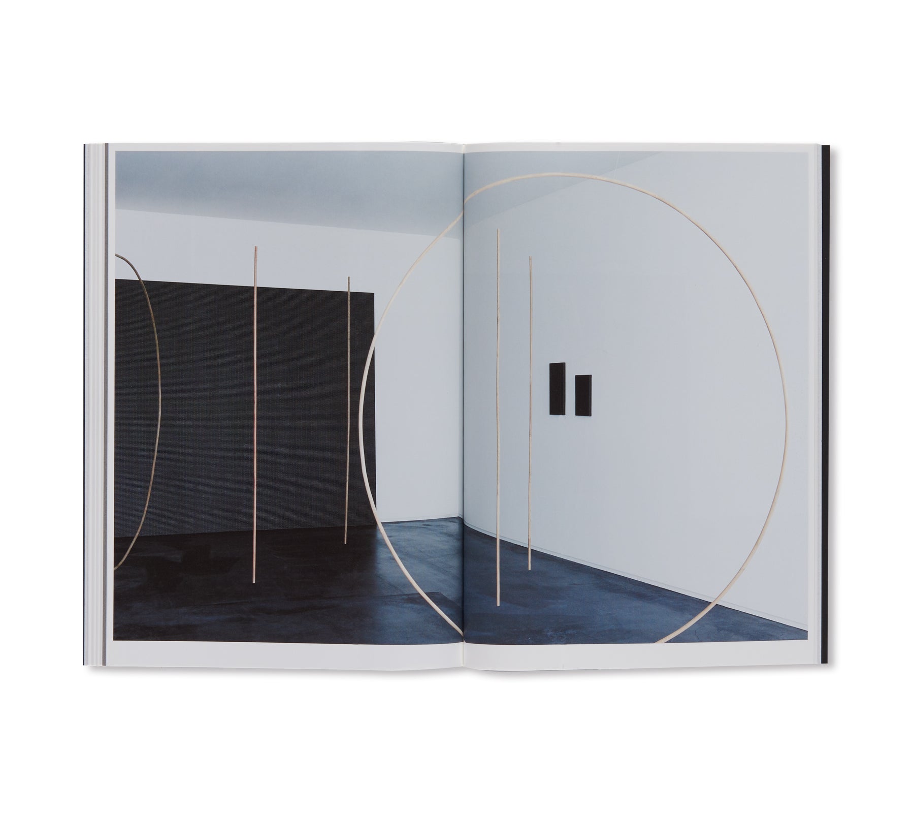 MARIA TANIGUCHI Art Collection by Maria Taniguchi - Contemporary Paintings & Sculptures for Modern Home Decor & Office Spaces
