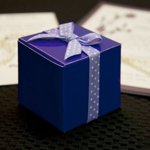 10-Pack Purple Square Favor Boxes for Wedding, Baby Shower & Party Favors - Elegant Gift Packaging with Ribbon Tie Closure