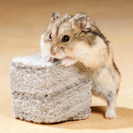 Natural Pumice Chew Block for Small Pets - Teeth Cleaning & Stress Relief for Rabbits, Guinea Pigs, Chinchillas - Perfect for Cage Enrichment & Dental Health