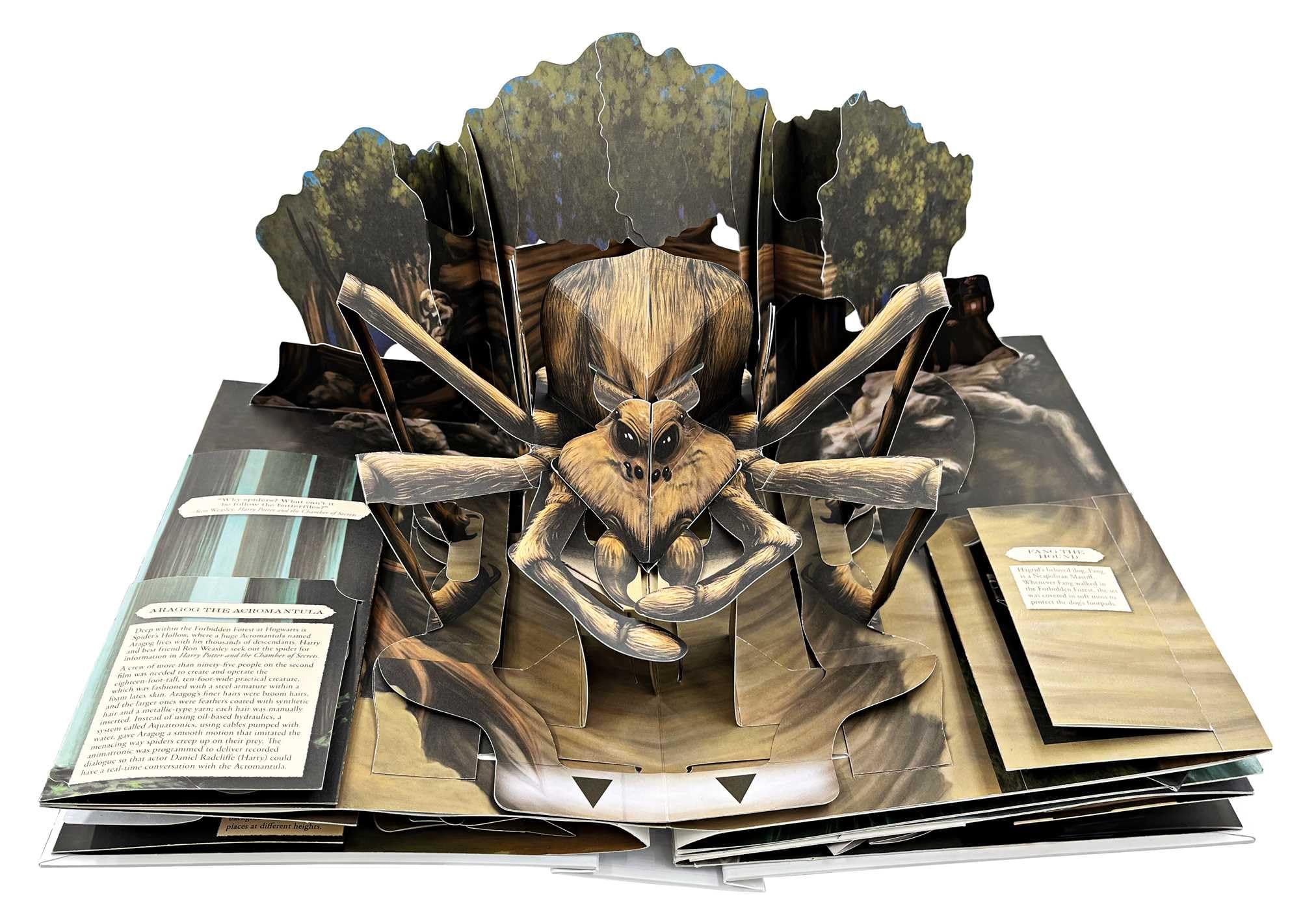 Harry Potter Pop-Up Book: A Guide to Magical Creatures in the Wizarding World - Reinhart Pop-Up Studio | Collectible Gift for Fans, Perfect for Home Decor & Harry Potter Themed Parties