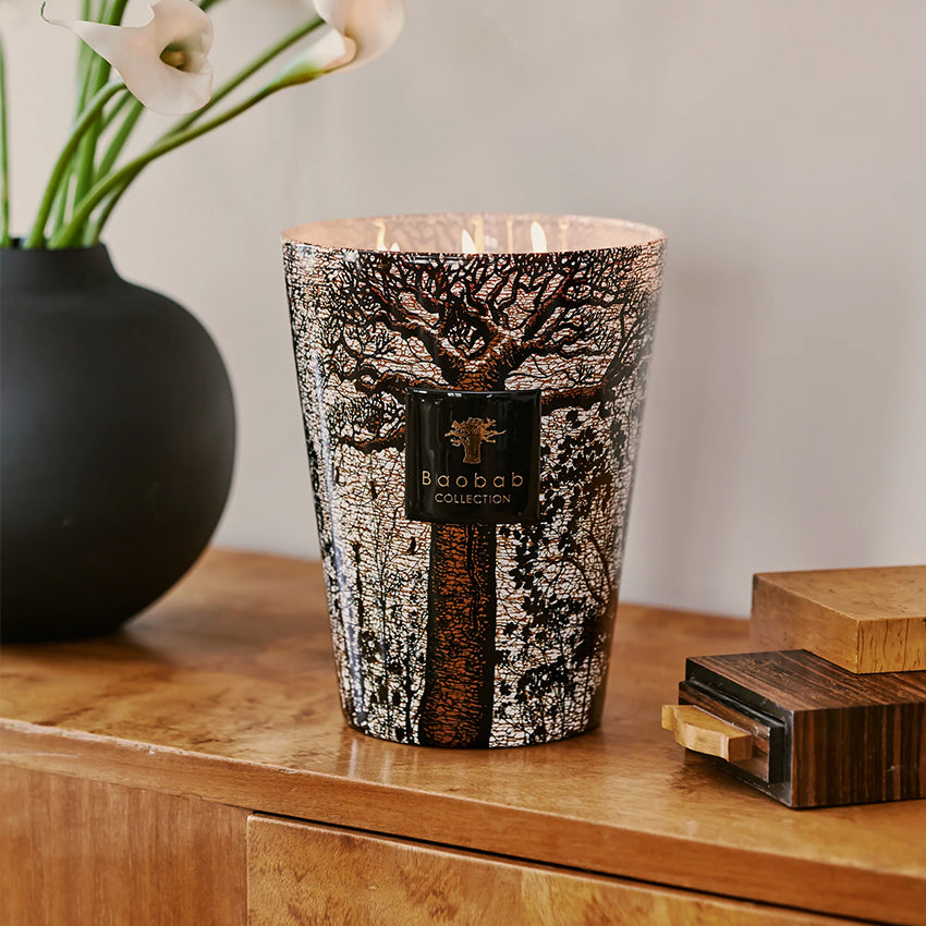 Baobab Collection Sacred Trees Morondo Scented Candle - Luxury Home Fragrance for Relaxation & Meditation | Perfect for Bedroom, Bathroom & Living Room Decor