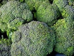 Organic Broccoli Seeds Bulk 5 LB - Non-GMO, Heirloom, High Germination Rate - Perfect for Home Gardening, Farming, and Healthy Eating