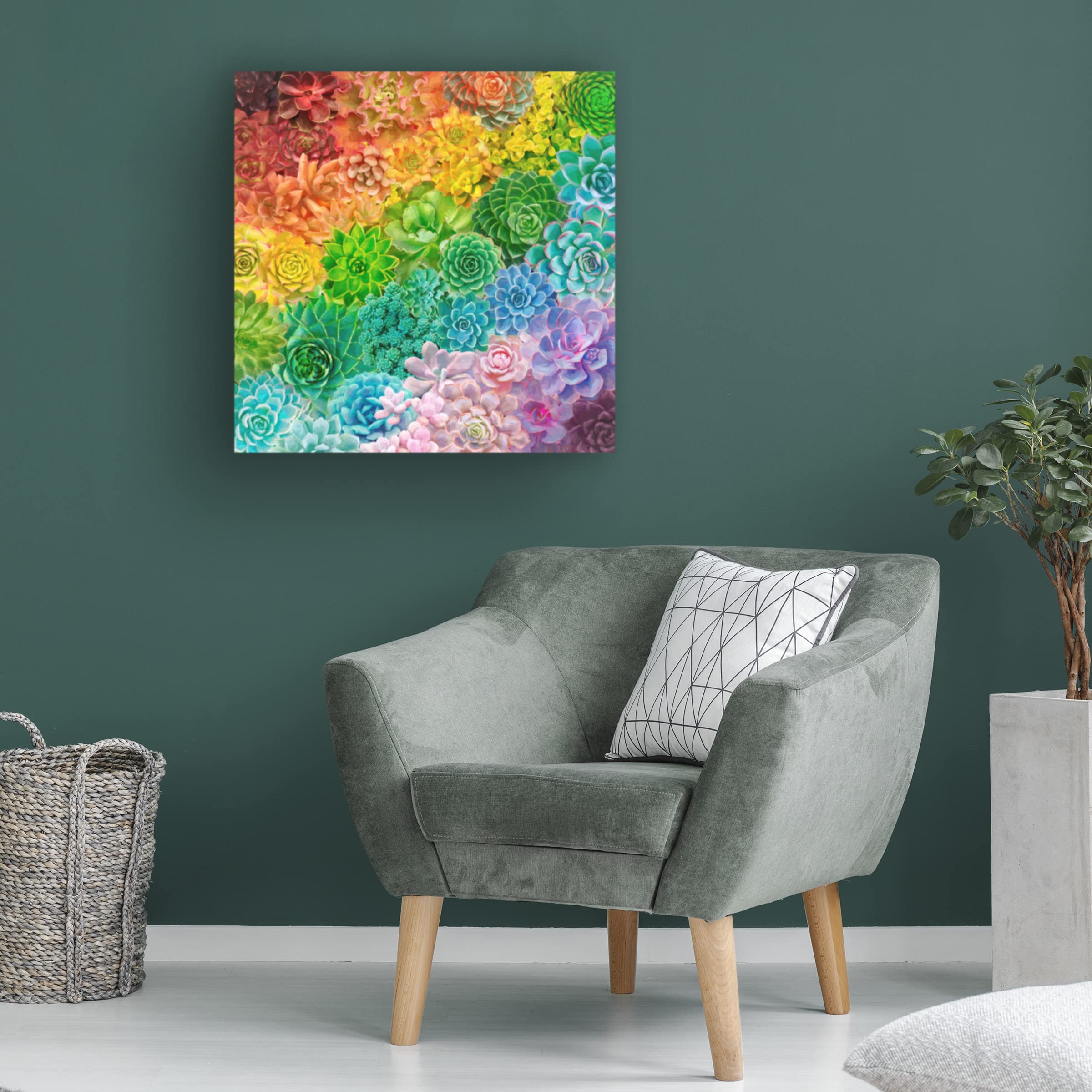Trademark Fine Art 'Rainbow Succulents' Canvas Wall Art by Cora Niele - Vibrant Botanical Painting for Living Room, Bedroom & Office Decor