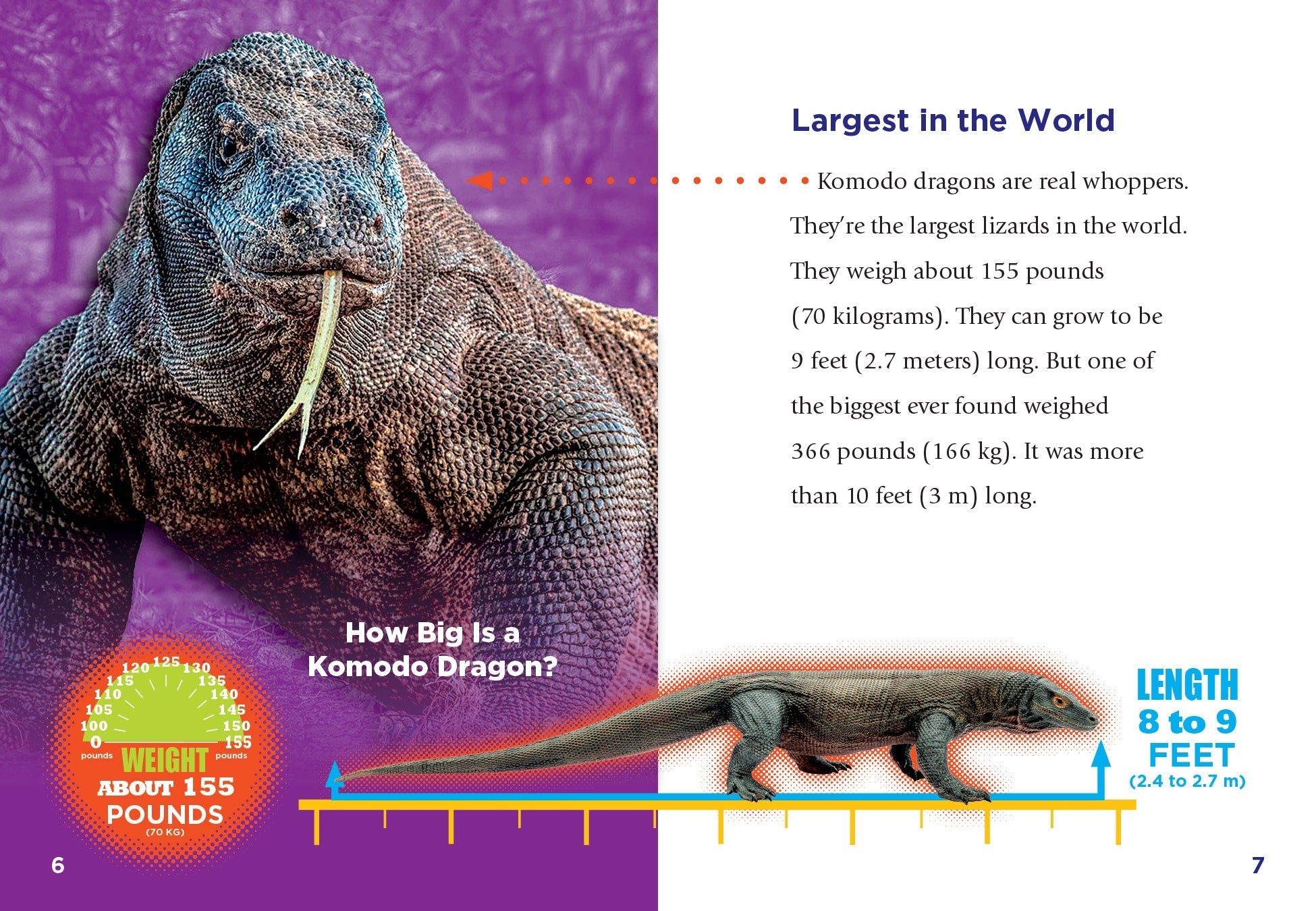 Komodo Dragons Book 9781623106454 - Learn About the World's Largest Lizards - Perfect for Reptile Enthusiasts & Science Education