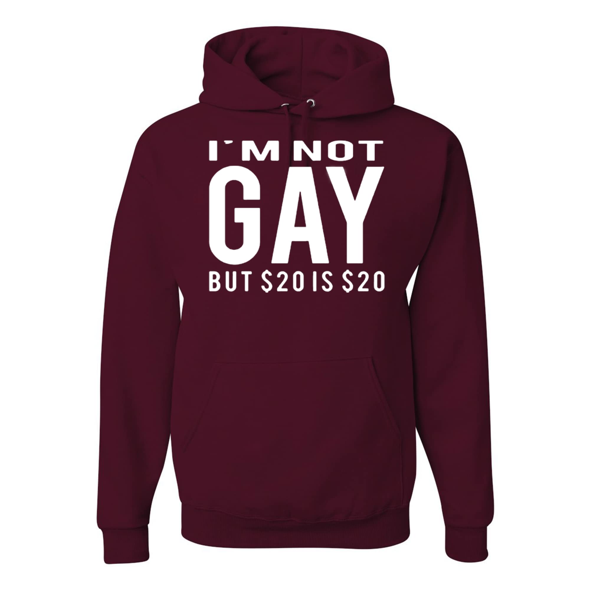 Wild Custom Apparel - Funny 'I'm Not Gay But $20 Is $20' Men's Hoodies - Perfect for Casual Wear, Gifts & Humorous Outfits