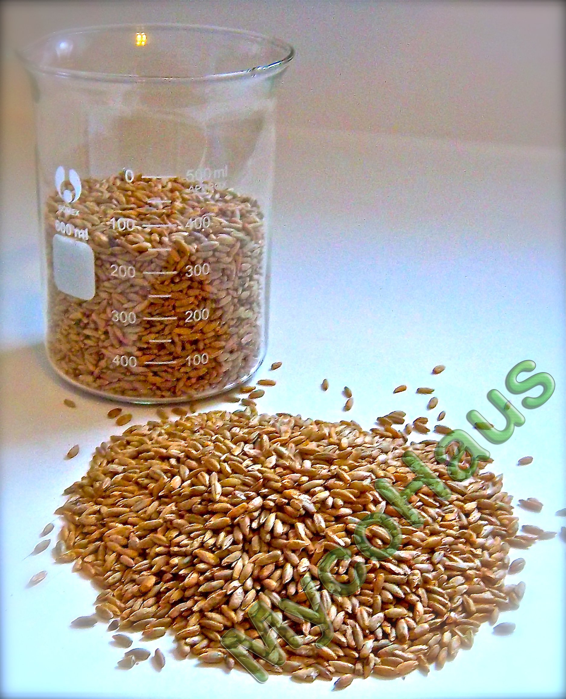 Magic Mushroom Growing Kit - Sterilized Rye Grain Substrate for Home Cultivation | 24 Pack Indoor Grow Bags (1lb Each) | No Spores or Injection Ports Included | Perfect for Beginners & Organic Gardening Enthusiasts