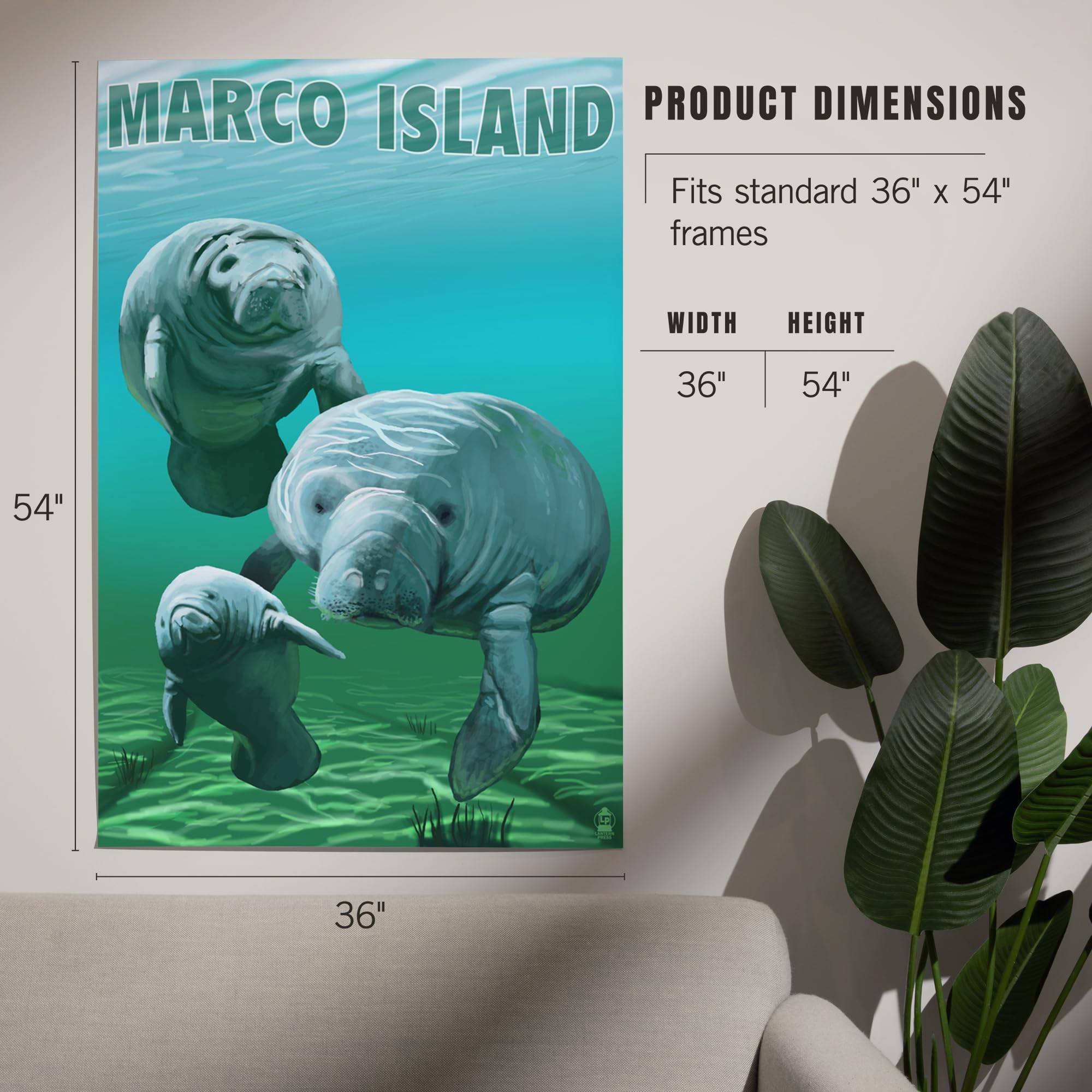 Lantern Press 36x54 Inch Giclee Art Print - Marco Island Manatees Wall Decor - Premium Canvas Painting for Living Room, Bedroom & Office