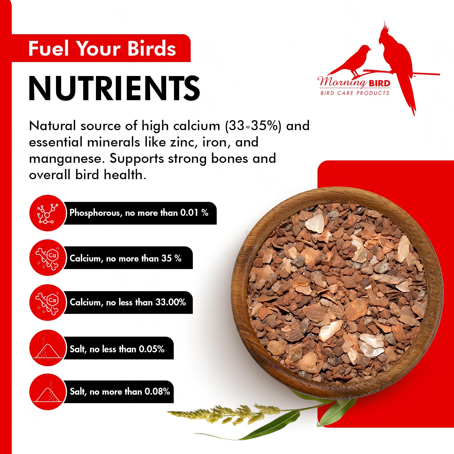 Morning Bird Pigeon Grit - Premium Natural Mineral Supplement for All Bird Species | Supports Strong Muscles & Bones | Easy to Digest Nutritious Bird Food (1.5 lbs) - Ideal for Pigeons, Doves, Parrots & Backyard Birds