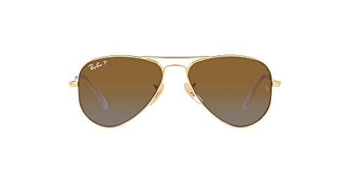 Gold/Brown Gradient Polarized