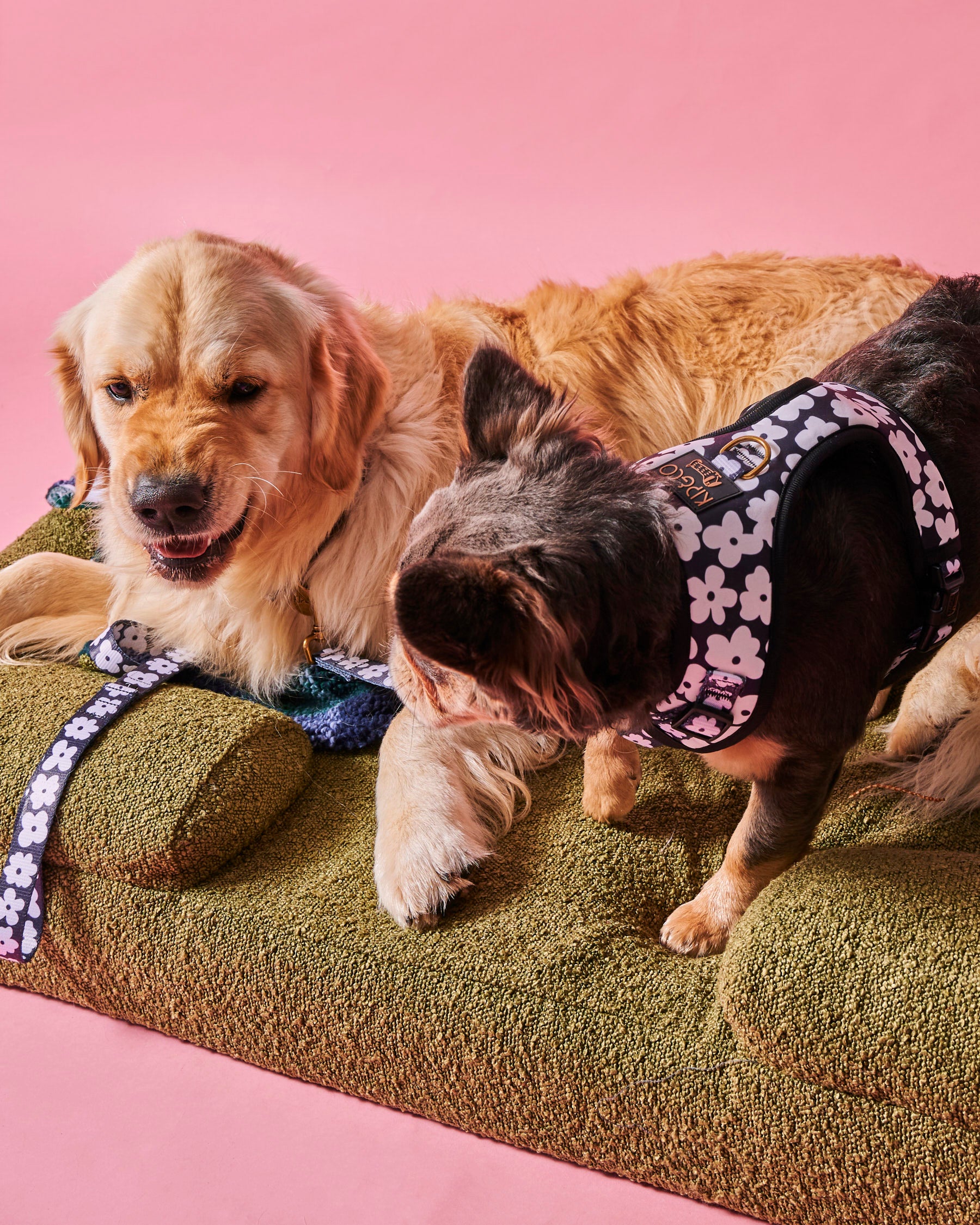 Premium Flower Print Dog Harness - Adjustable & Breathable Pet Vest for Small & Medium Dogs - Perfect for Walks, Hiking & Outdoor Adventures