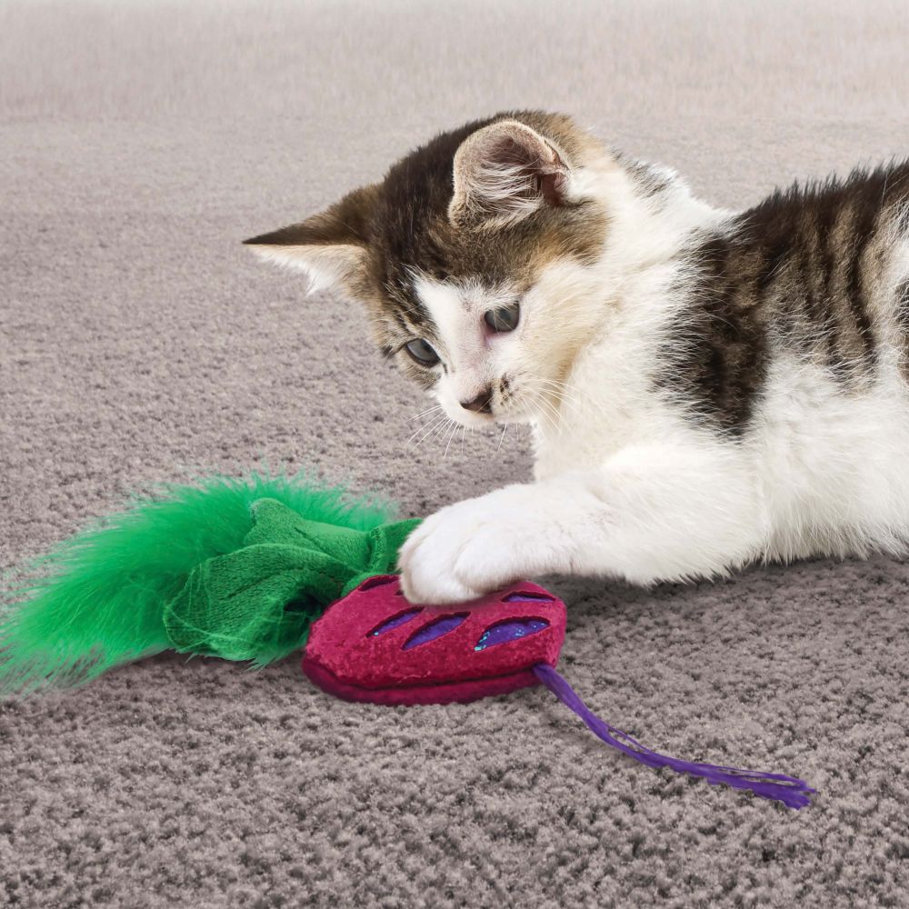 Premium Crackles Rootz Assorted Cat Toys - Natural Fiber Interactive Play for Indoor Cats - Perfect for Playtime, Training & Bonding with Your Feline Friend