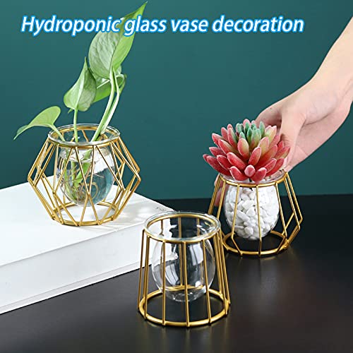 VALINK Modern Glass Vase Planter with Metal Base - Contemporary Floral Container for Home & Office Decor - Perfect for Centerpieces, Wedding Decor, and Living Room Accents