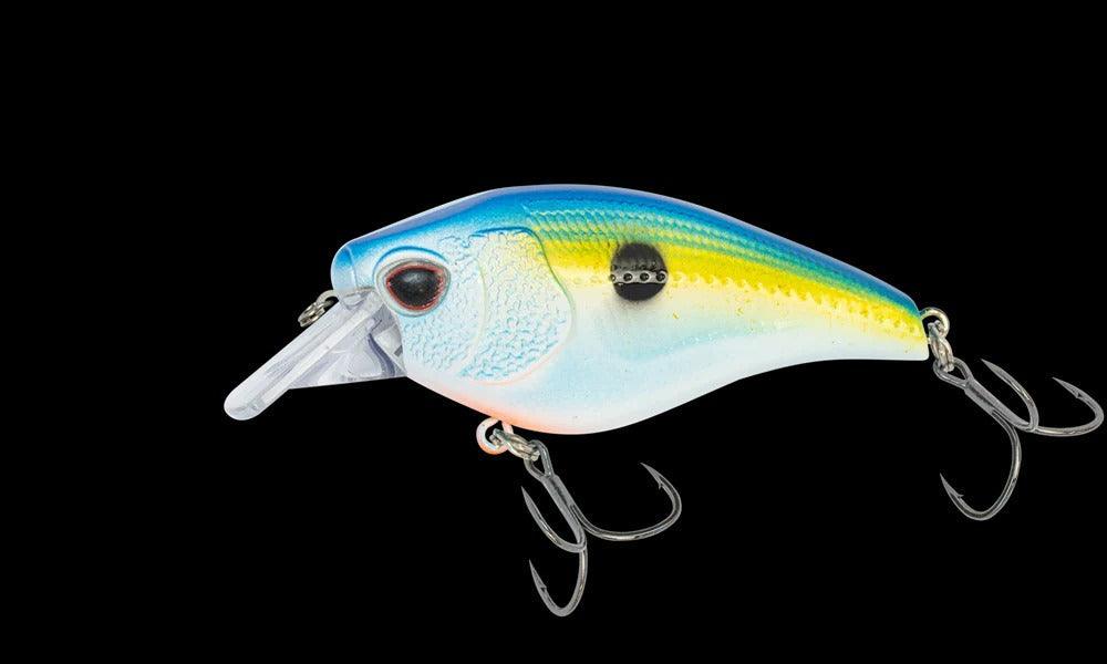 Sexy Shad