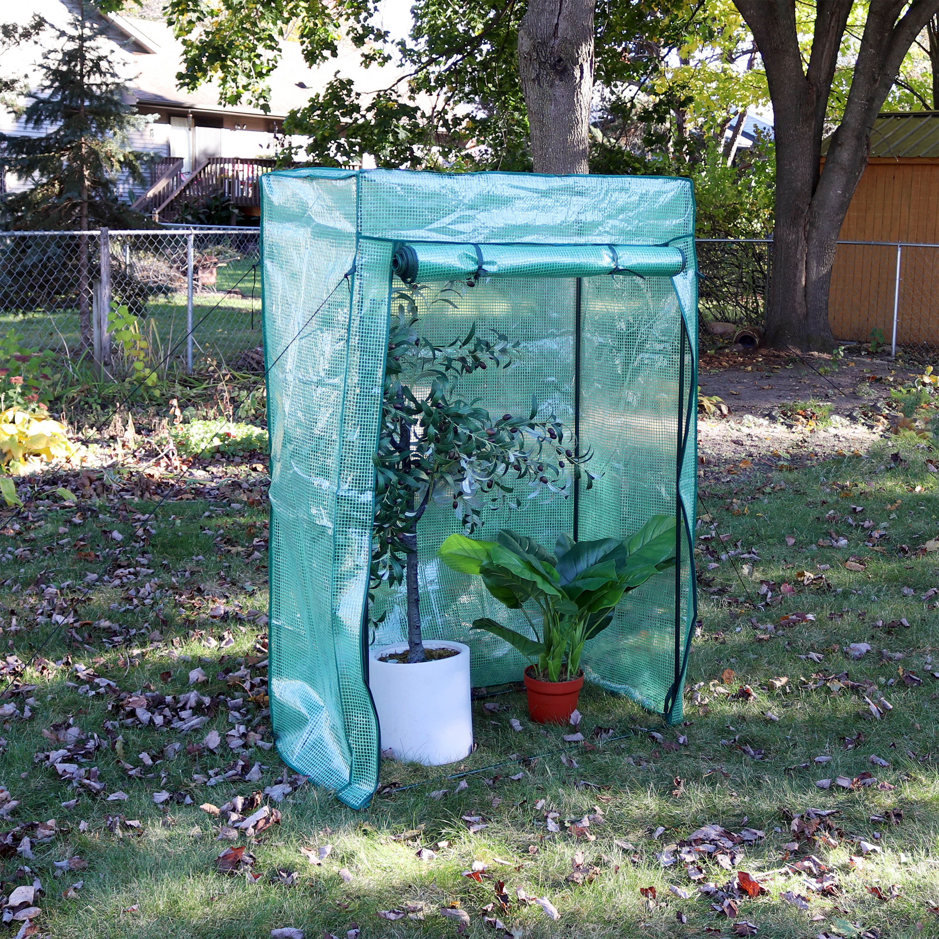 Sunnydaze Deluxe Greenhouse for Potted Plants & Tomatoes - Indoor/Outdoor Gardening Solution for Home & Backyard