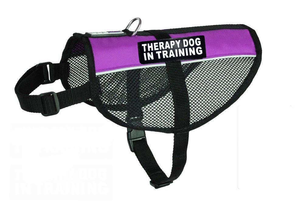 Therapy Dog Mesh Vest Harness - Breathable Nylon Cooling Comfort for Training - Includes 2 Reflective Patches - Purple Medium (11-14