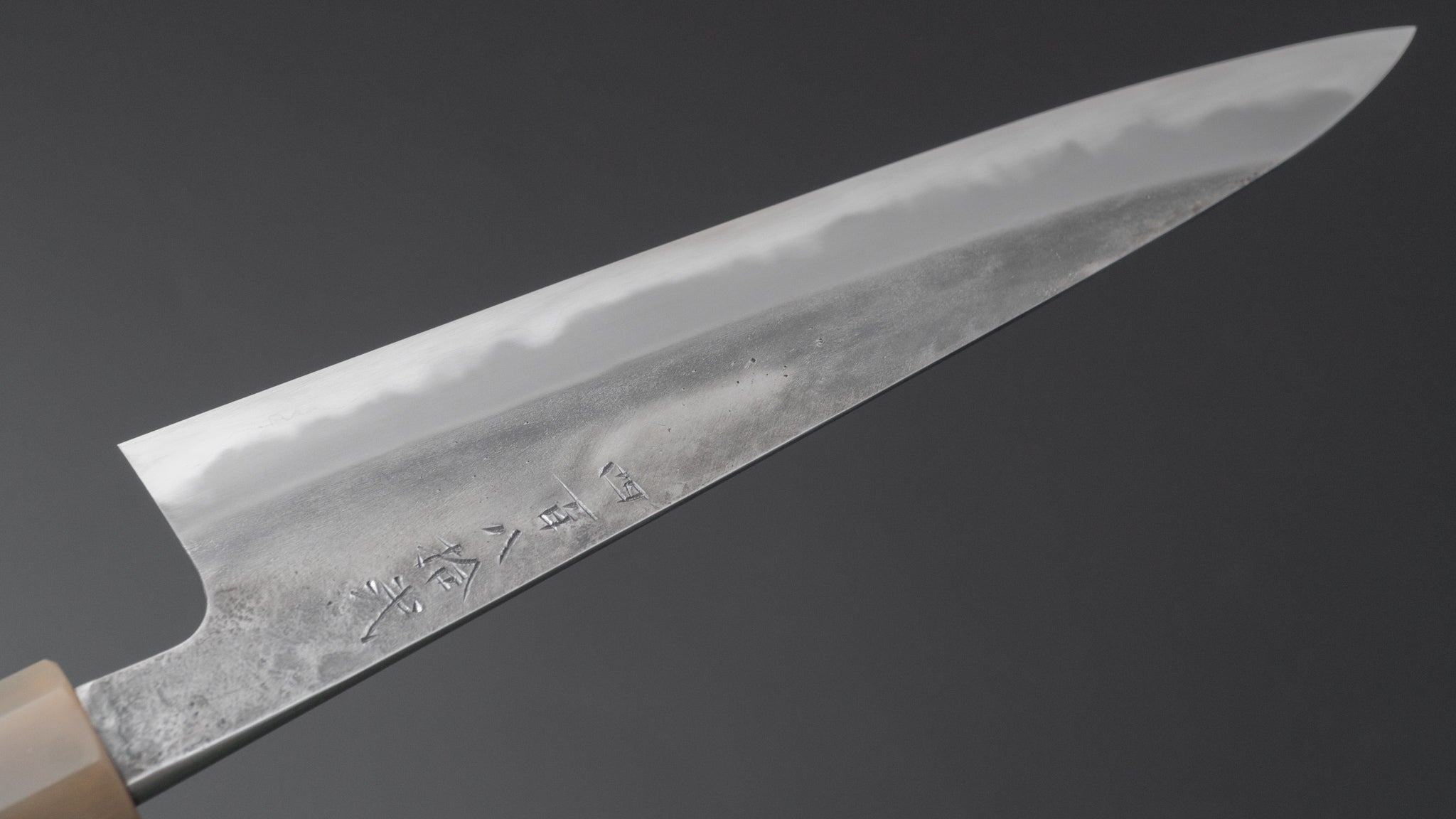 Premium Jiro Tsuchime Sujihiki 210mm Japanese Slicing Knife with Taihei Tagayasan Handle (#482) - Perfect for Sushi, Sashimi & Meat Carving