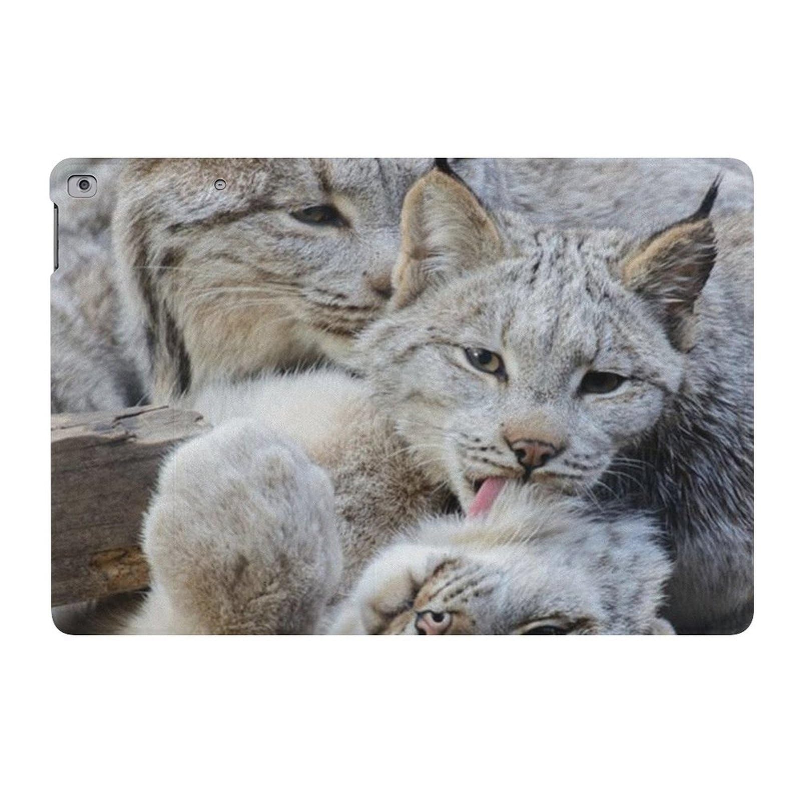 Canadian Lynx Clean Time Slim Shockproof Waterproof Case for iPad 2017/2018/Air 1/Air 2 (9.7 Inch) - Protective Cover with Stand | Perfect for Travel, Work & School Use