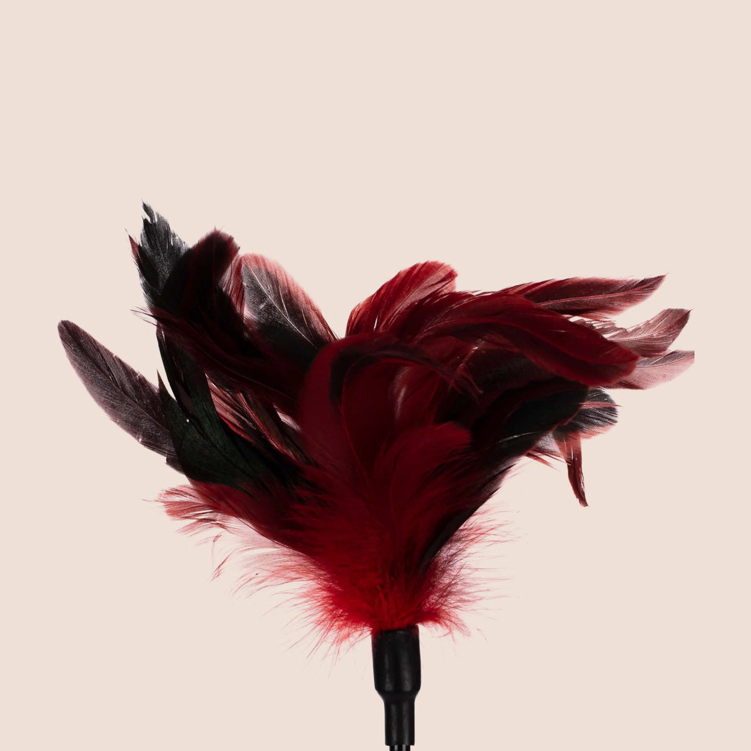 Sex & Mischief Feather Slapper - Double Ended Feather Plume & Vinyl Spanking Paddle for Sensual Play, BDSM, and Adult Entertainment